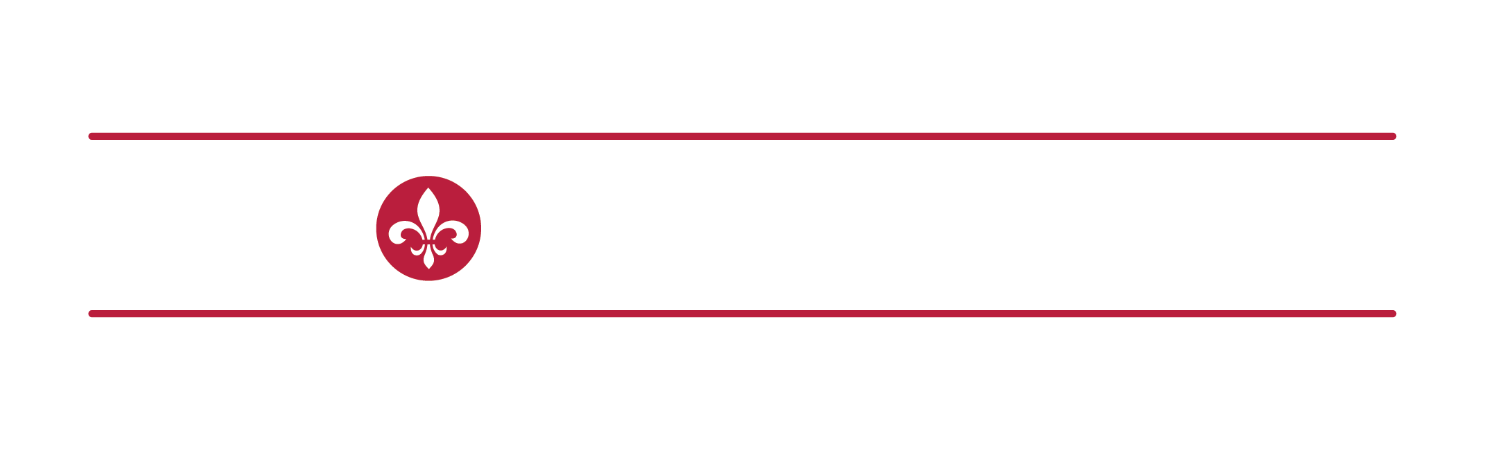 VP SAINT LOUIS Logo